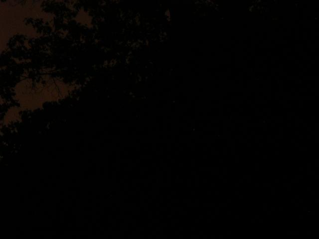 dscn2239.jpg