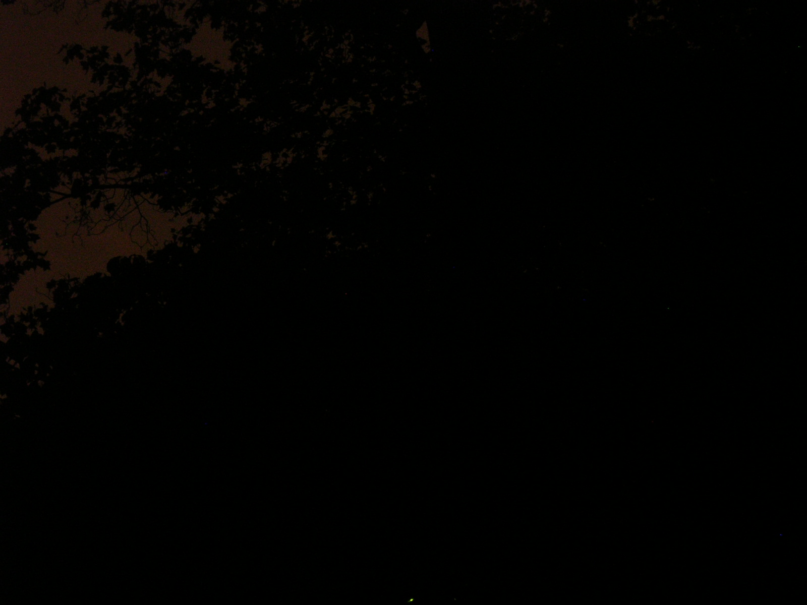 dscn2240.jpg