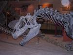 Museums in DC