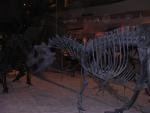 dscn2231.jpg