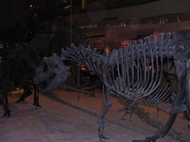 dscn2231.jpg