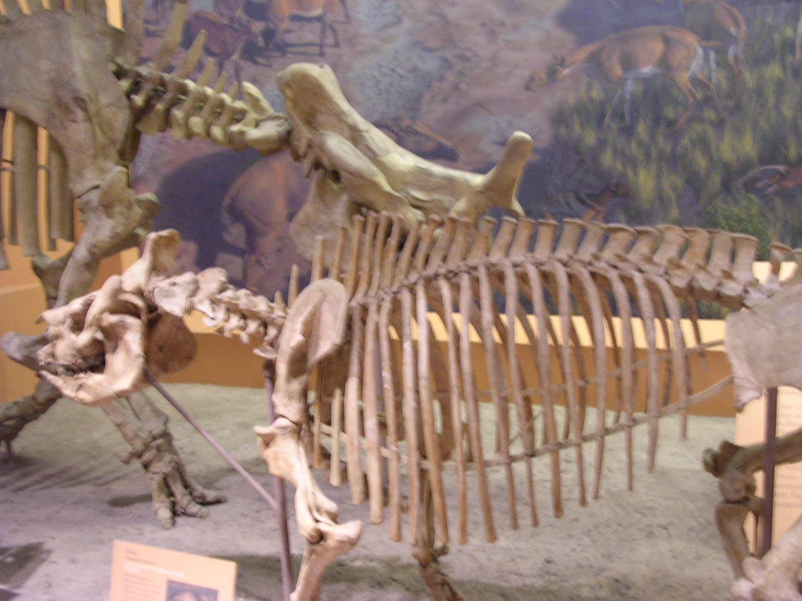 dscn2232.jpg