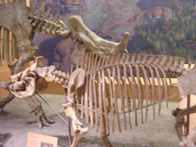 dscn2232.jpg