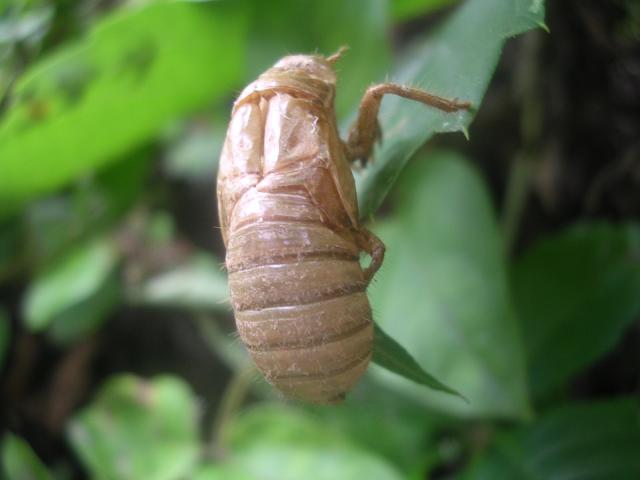 dscn2218.jpg