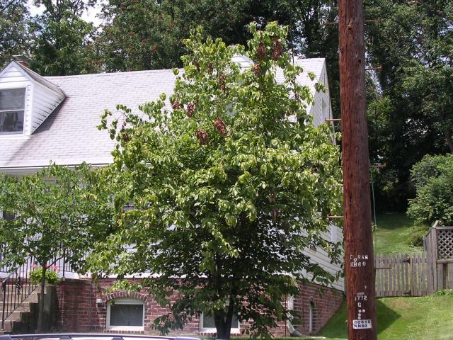 dscn2324.jpg