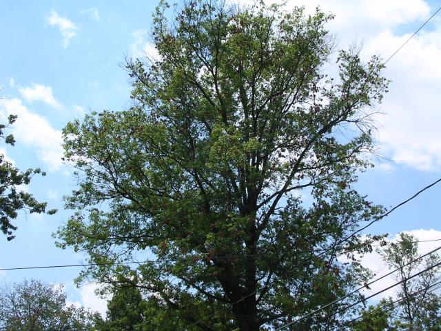 dscn2325.jpg