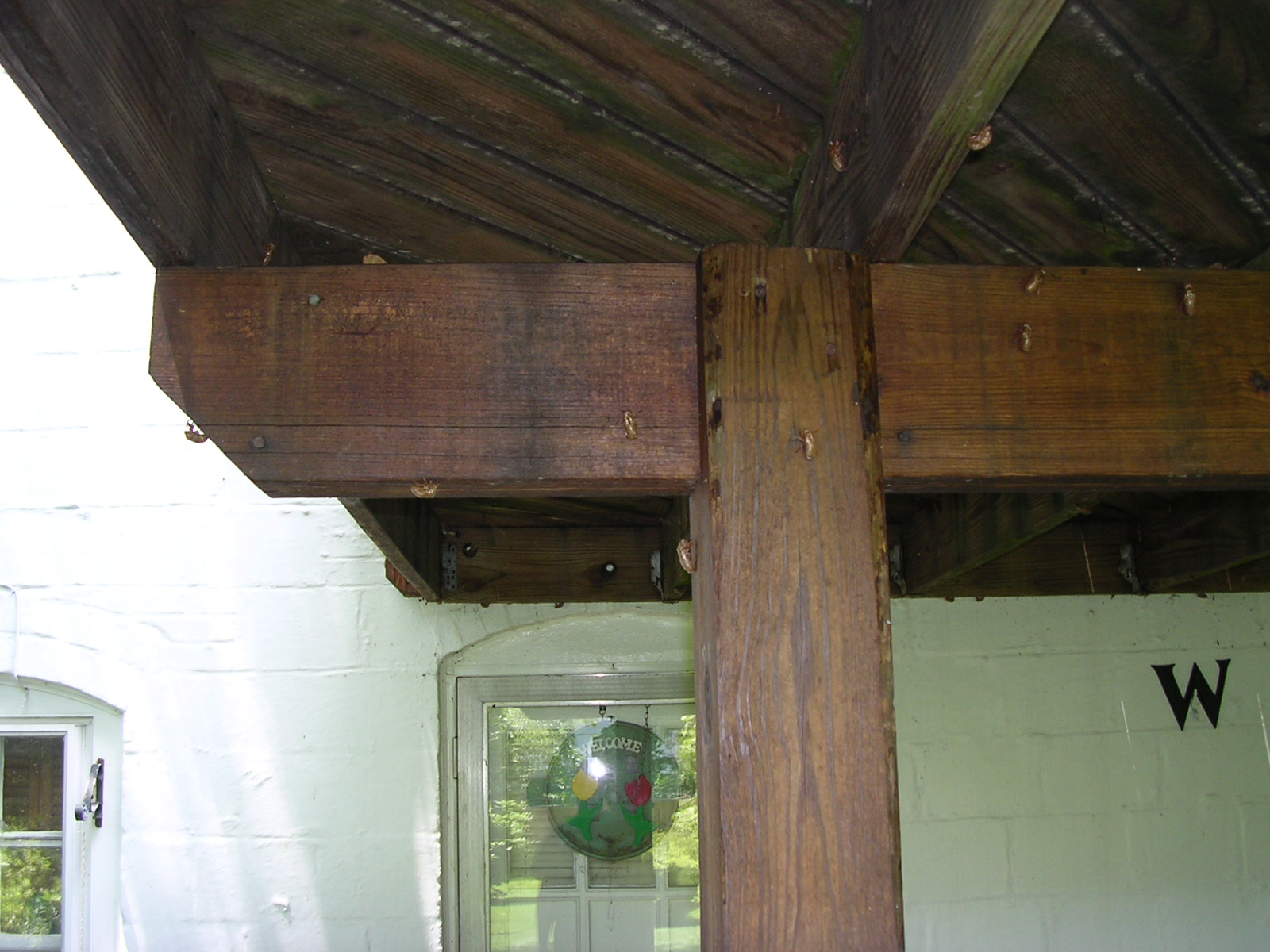 dscn2327.jpg