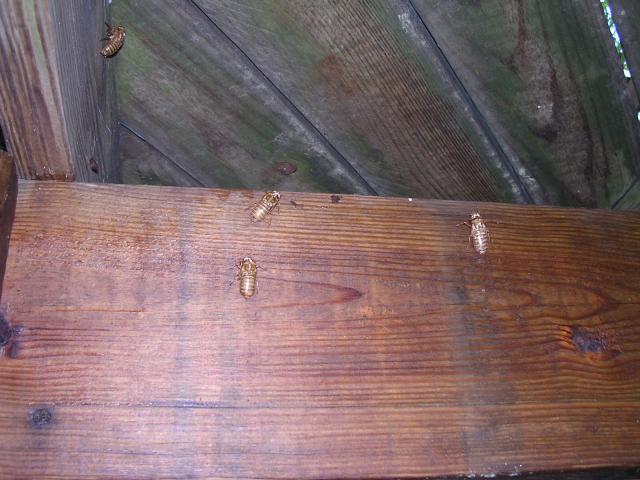 dscn2328.jpg
