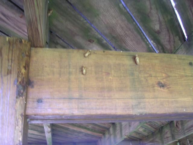 dscn2329.jpg