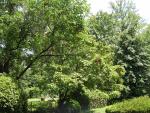 dscn2330.jpg