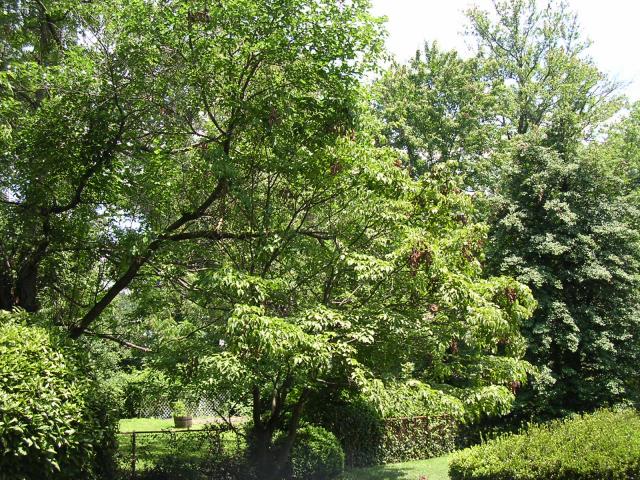dscn2330.jpg
