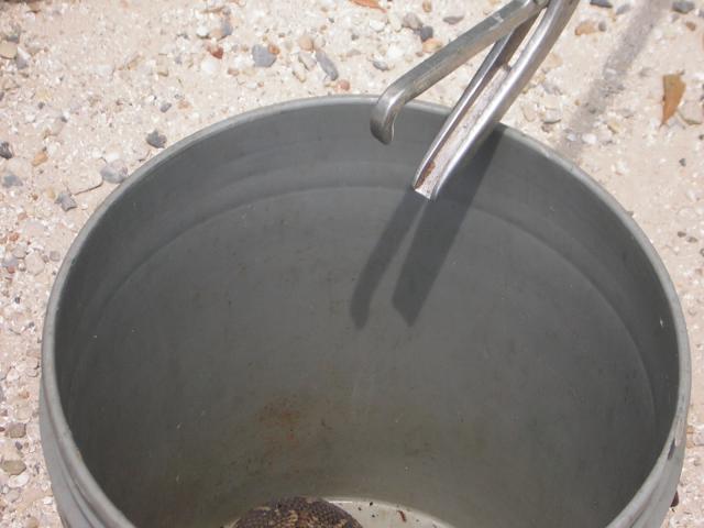 DSCN1602.jpg