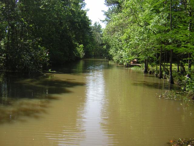 DSCN1546.jpg