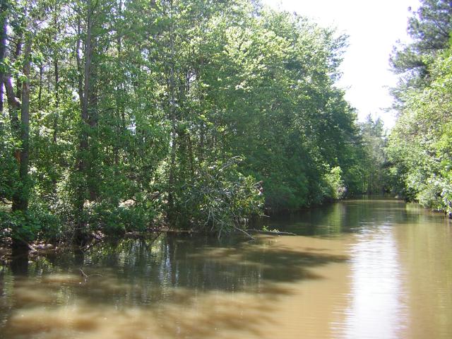 DSCN1547.jpg