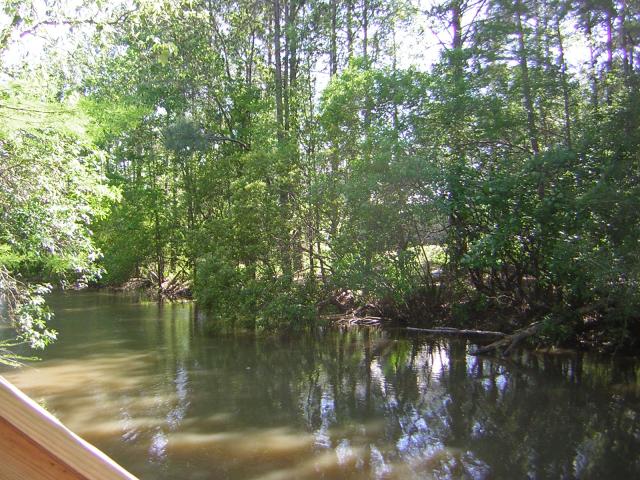 DSCN1548.jpg