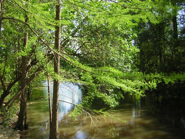 DSCN1549.jpg
