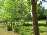 DSCN1551.jpg