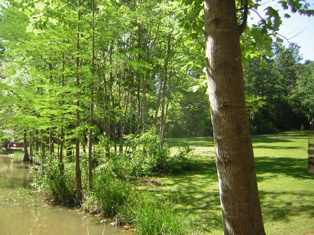 DSCN1551.jpg