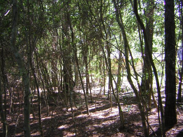 DSCN1561.jpg