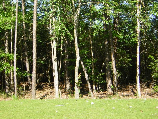 DSCN1562.jpg