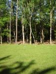 DSCN1563.jpg