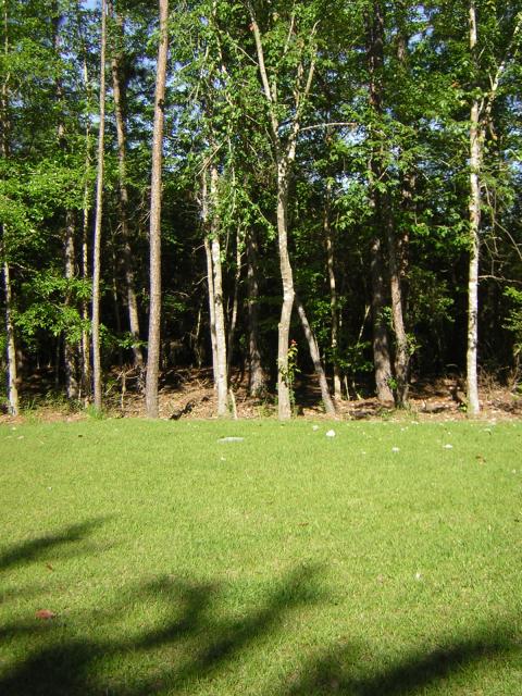 DSCN1563.jpg