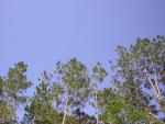 DSCN1564.jpg