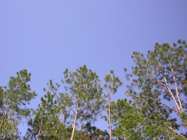 DSCN1564.jpg