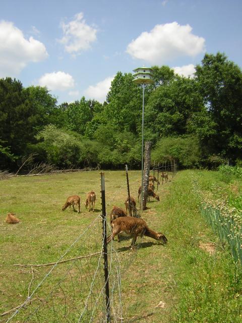 DSCN1566.jpg
