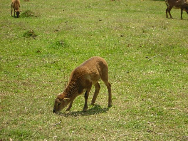 DSCN1568.jpg