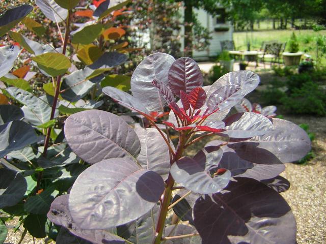DSCN1569.jpg