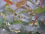 DSCN1692.jpg