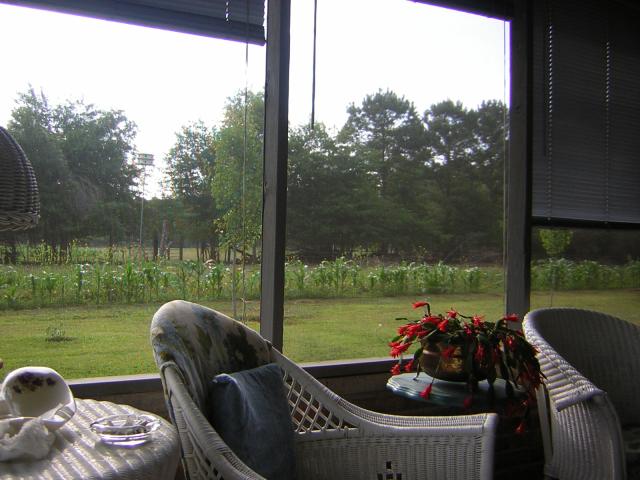 DSCN1677.jpg