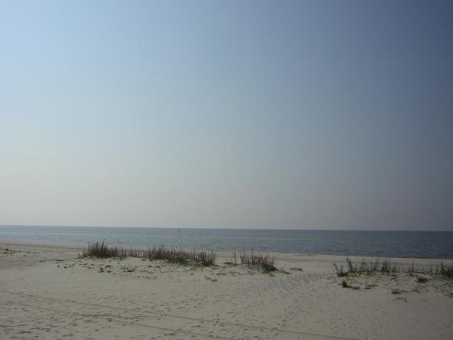 DSCN1574.jpg