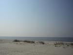 Gulf Coast drive
