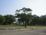 DSCN1576.jpg