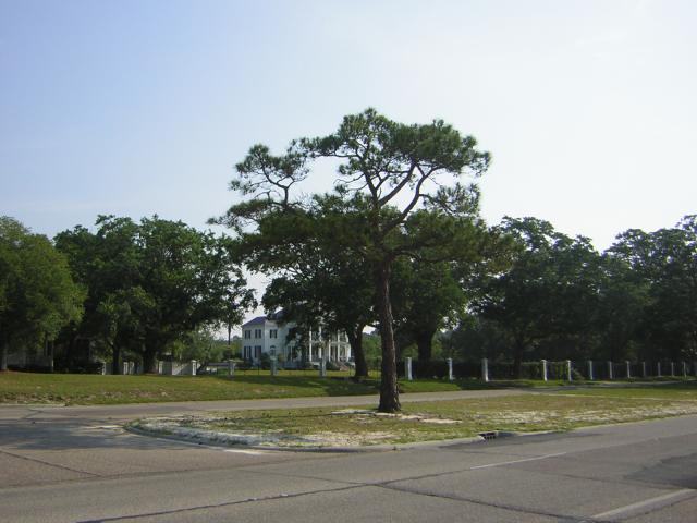 DSCN1576.jpg