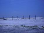 DSCN1579.jpg