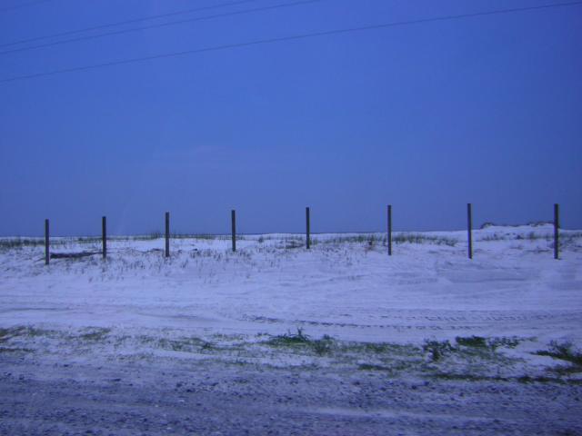 DSCN1579.jpg