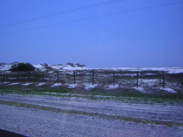 DSCN1580.jpg