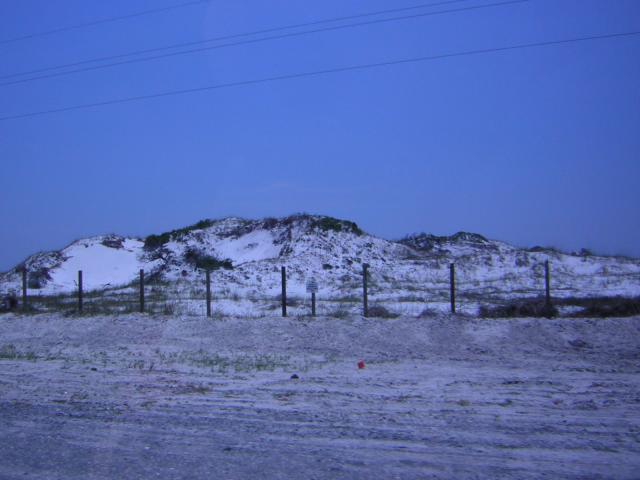 DSCN1581.jpg