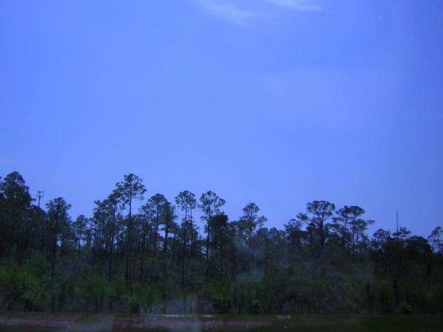 DSCN1587.jpg