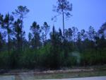 DSCN1588.jpg
