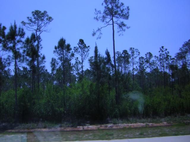 DSCN1588.jpg
