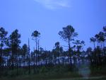 DSCN1589.jpg