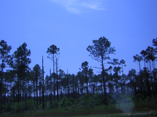 DSCN1589.jpg