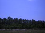 DSCN1590.jpg