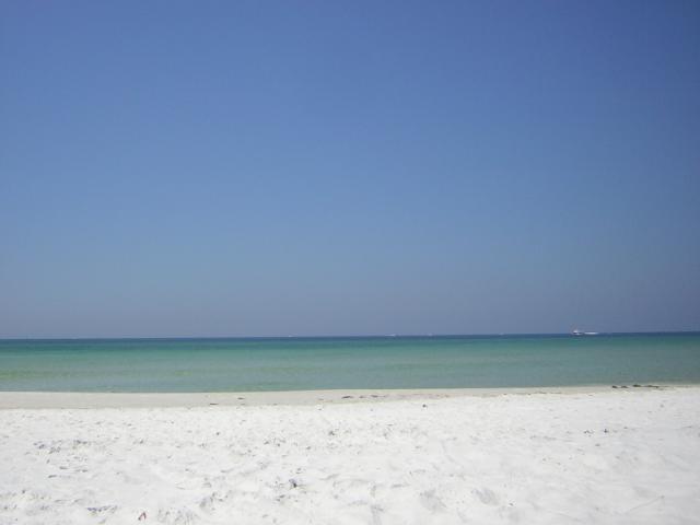 DSCN1593.jpg