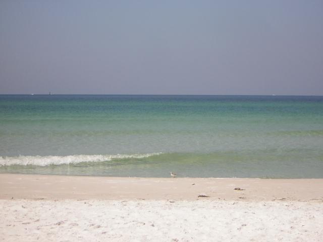 DSCN1594.jpg