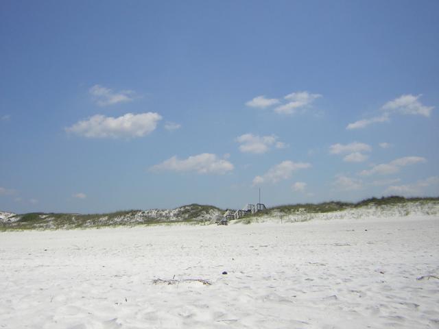 DSCN1596.jpg